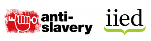 anti slavery and iied